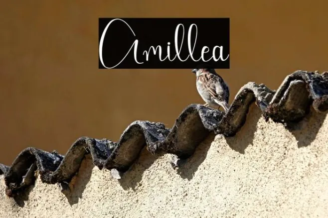 Amillea Example 3