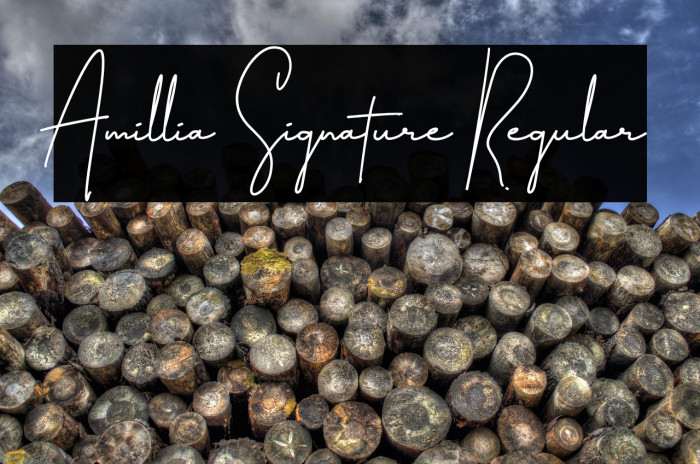 Amillia Signature Regular Example 1