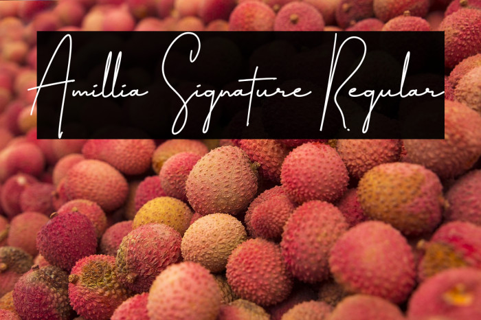 Amillia Signature Regular Example 2