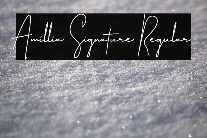 Amillia Signature Regular Example 3