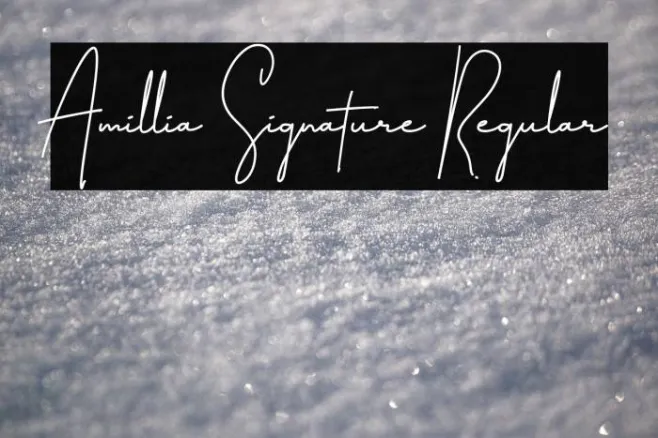 Amillia Signature Regular Example 3