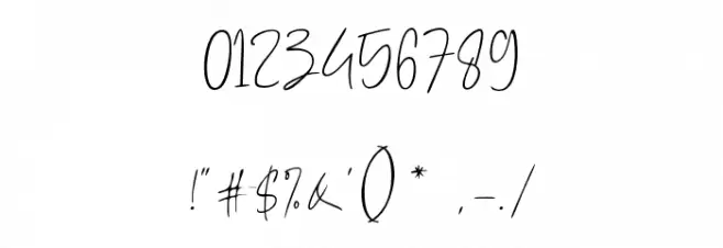 AmilliaRocheteDemo Font OTHER CHARS