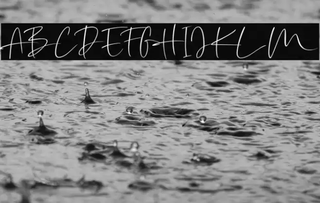 AmilliaRocheteDemo Font examples