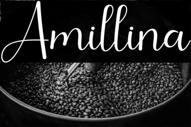 Amillina Font examples