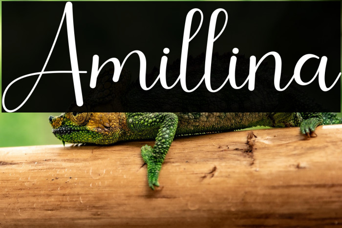 Amillina Example 2