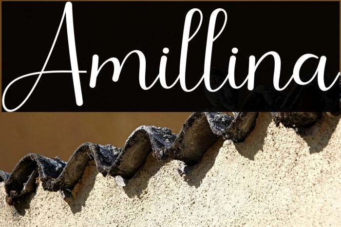 Amillina Example 3