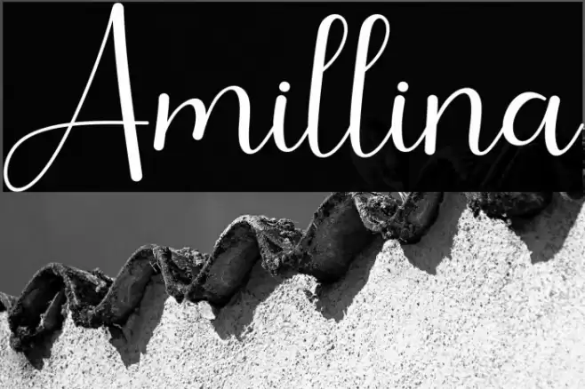 Amillina Font examples