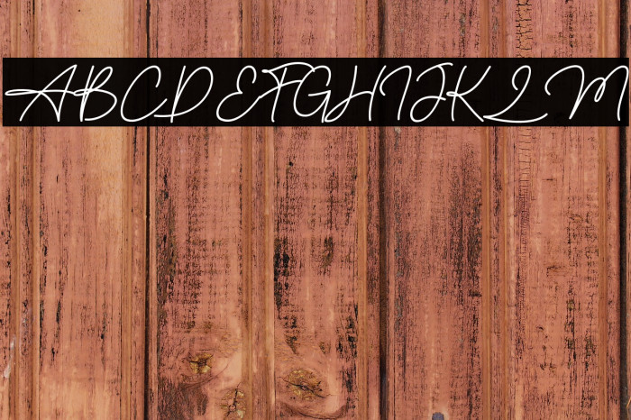 Amilly Signature Example 1