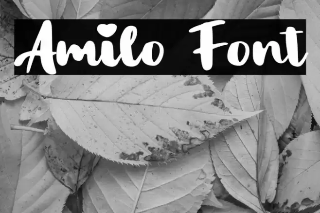 Amilo Font examples