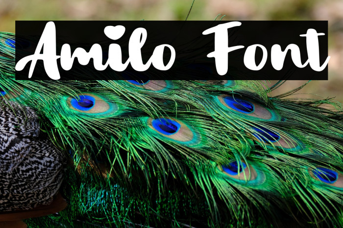 Amilo Example 2