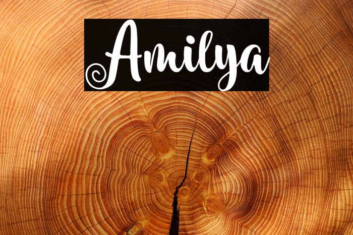 Amilya Font examples