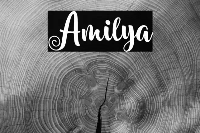 Amilya Fuentes examples
