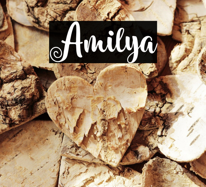 Amilya Font examples