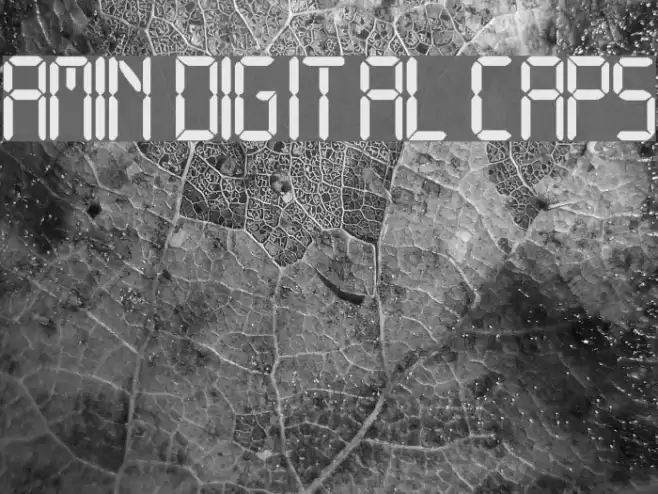 Amin Digital CAPS Font examples