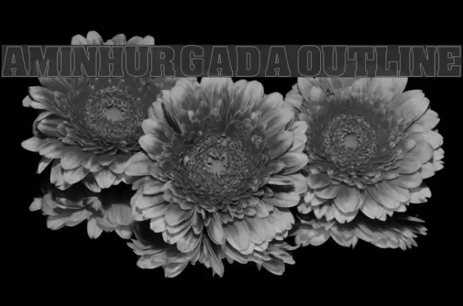 Amin_Hurgada Outline Font examples