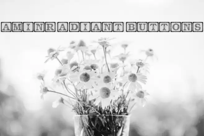 Amin_Radiant Buttons Font examples