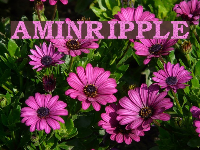 Amin_Ripple Font examples