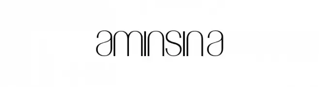 Amin_Sina 
