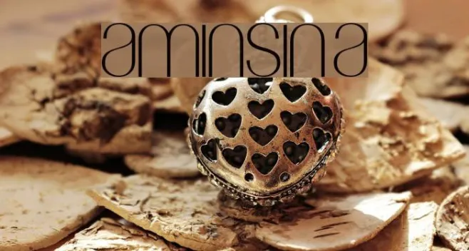 Amin_Sina Example 1