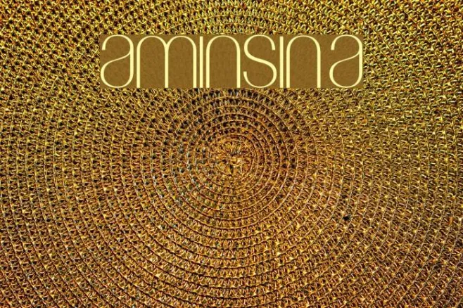 Amin_Sina Example 2