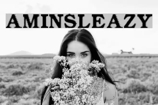 Amin_Sleazy Font examples