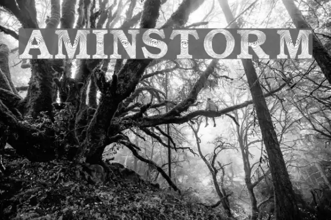 Amin_Storm Font examples