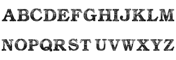 Amin_Storm Font LOWERCASE