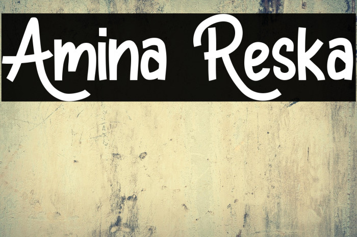 Amina Reska Example 2