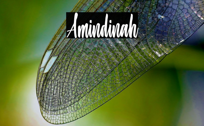 Amindinah Font examples