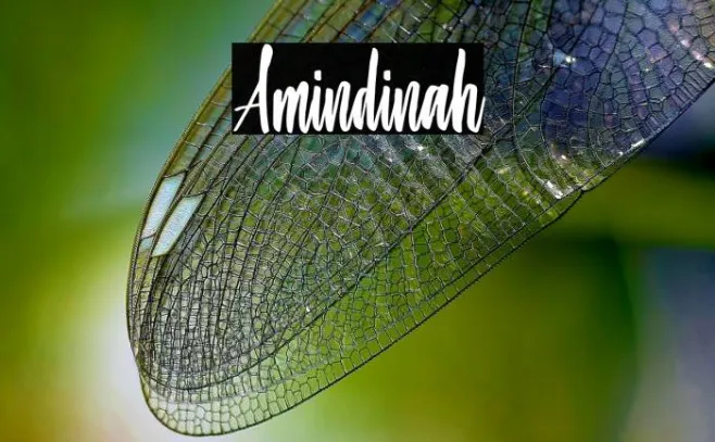 Amindinah Example 2