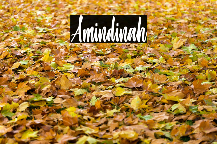 Amindinah Font examples