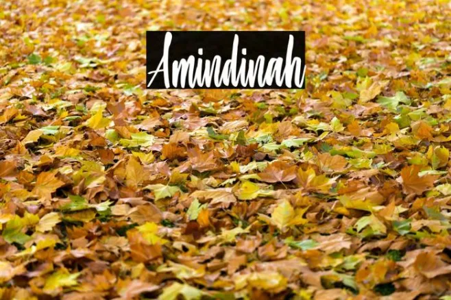 Amindinah Example 3