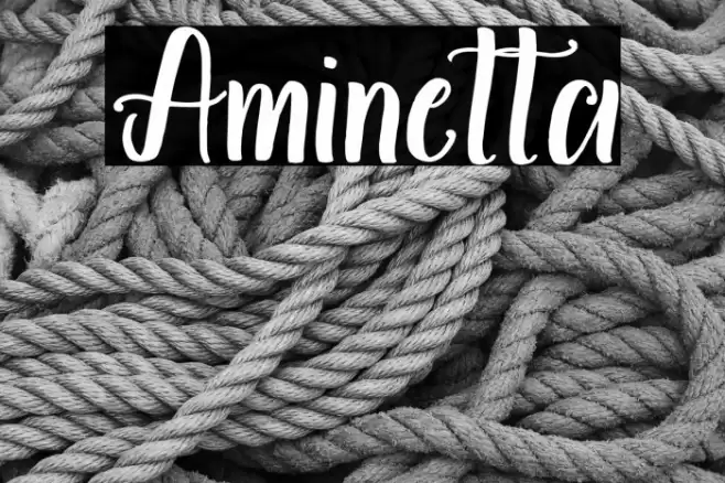 Aminetta Font examples