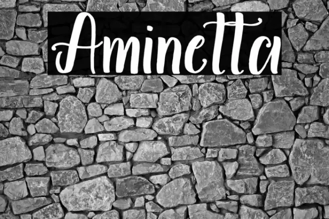 Aminetta Font examples