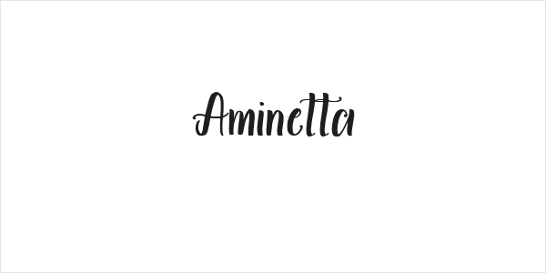Aminetta Logo