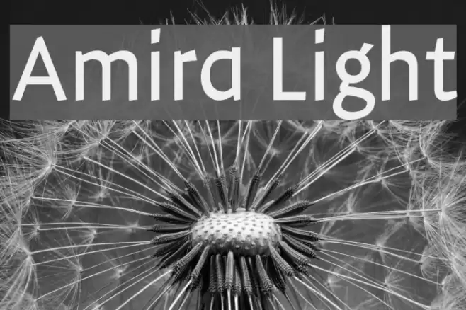 Amira Light Font examples