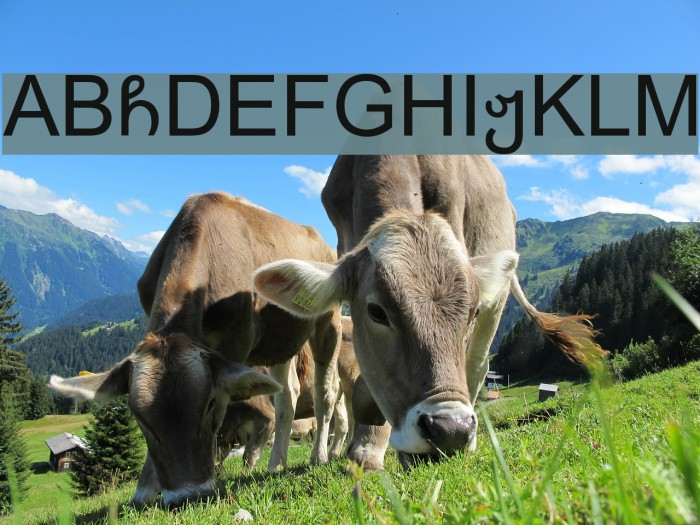 Amiran Font examples
