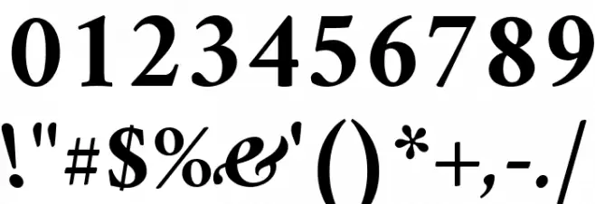 Amiri Bold Italic Font OTHER CHARS