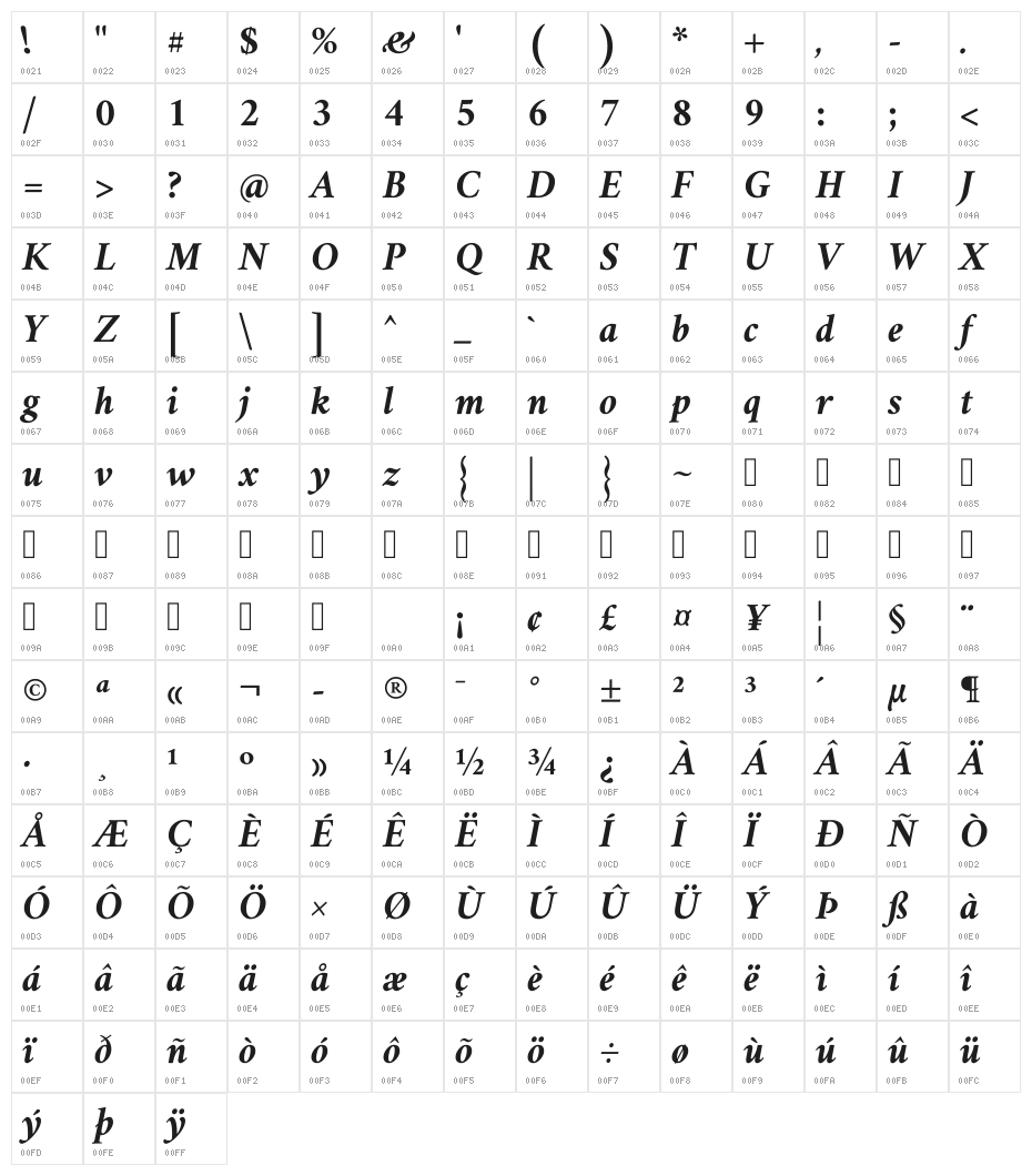 Amiri Bold Italic Character Map