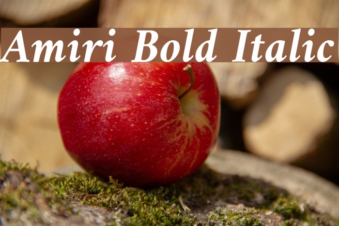 Amiri Bold Italic Font examples