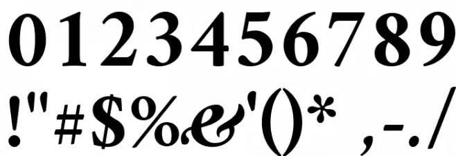 Amiri Bold Slanted Font OTHER CHARS