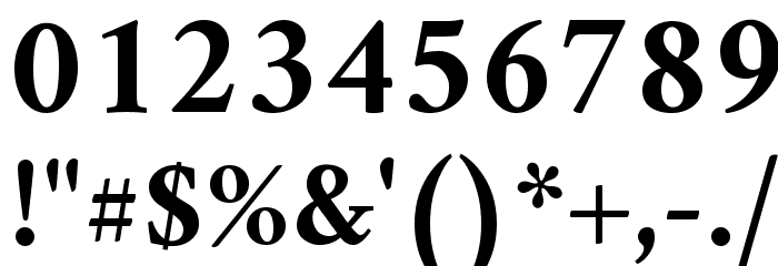 Amiri Bold Font OTHER CHARS