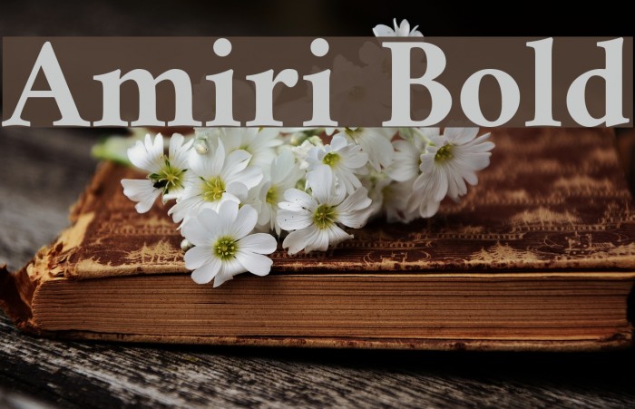 Amiri Bold Font examples