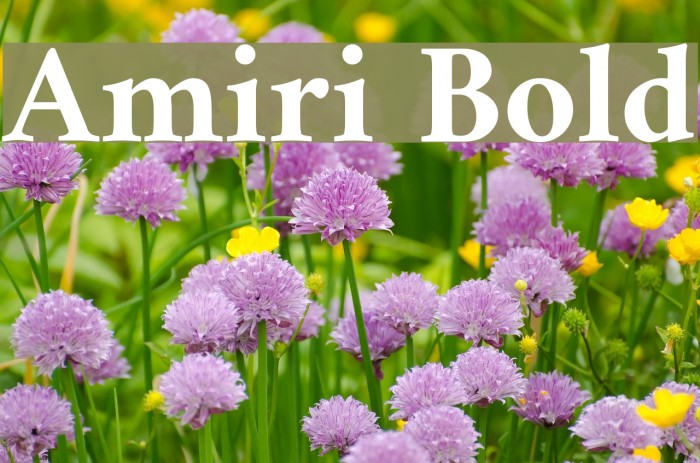 Amiri Bold Font examples