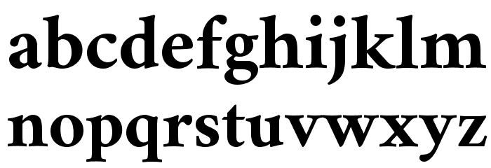 Amiri Bold Font LOWERCASE