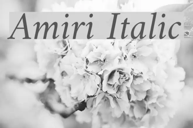 Amiri Italic Fonte examples