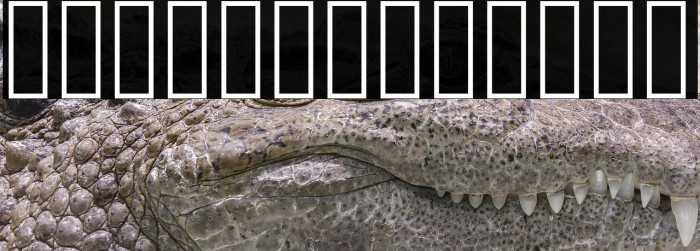 Amiri Quran Colored Example 3