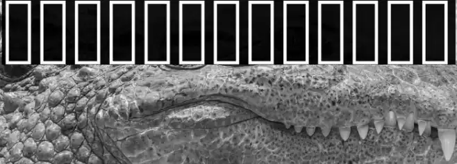 Amiri Quran Colored Font examples