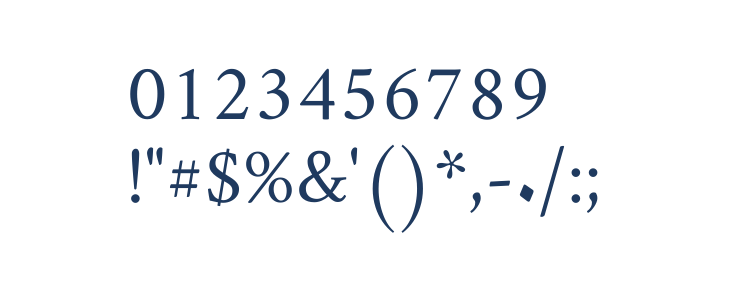 Amiri Quran Regular Other Characters