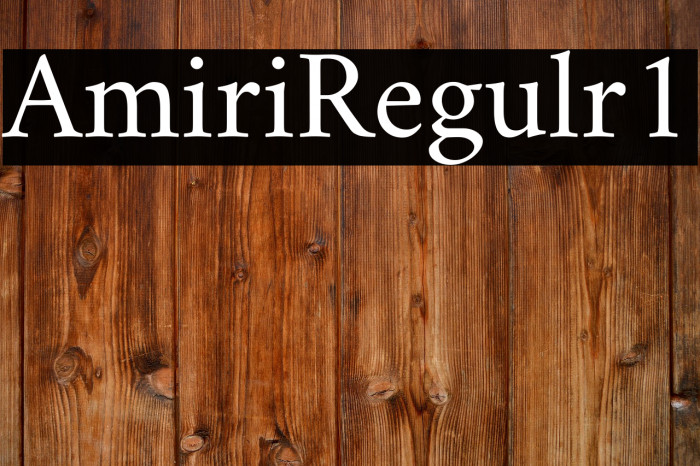 Amiri Regular1 Example 2